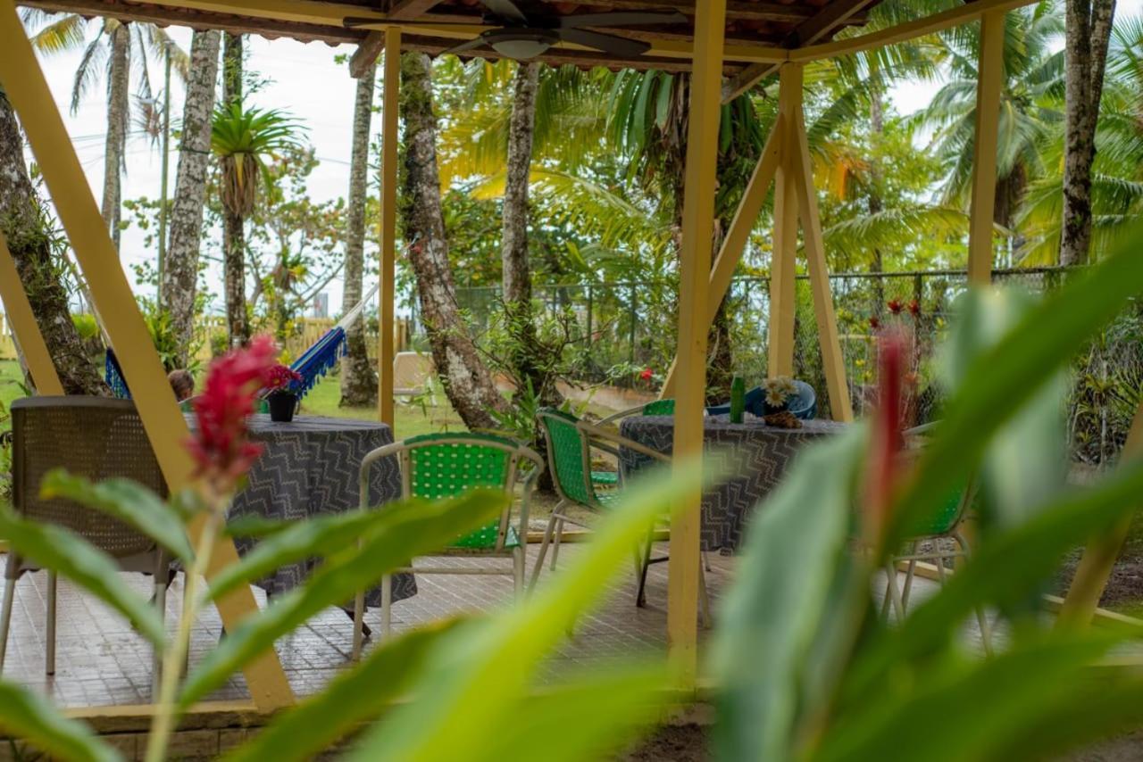 Hotel Tierra Verde Bed And Breakfast Bocas del Toro Exteriér fotografie