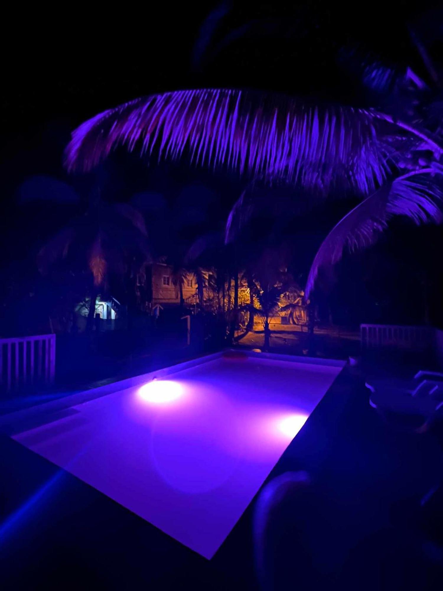 Hotel Tierra Verde Bed And Breakfast Bocas del Toro Exteriér fotografie