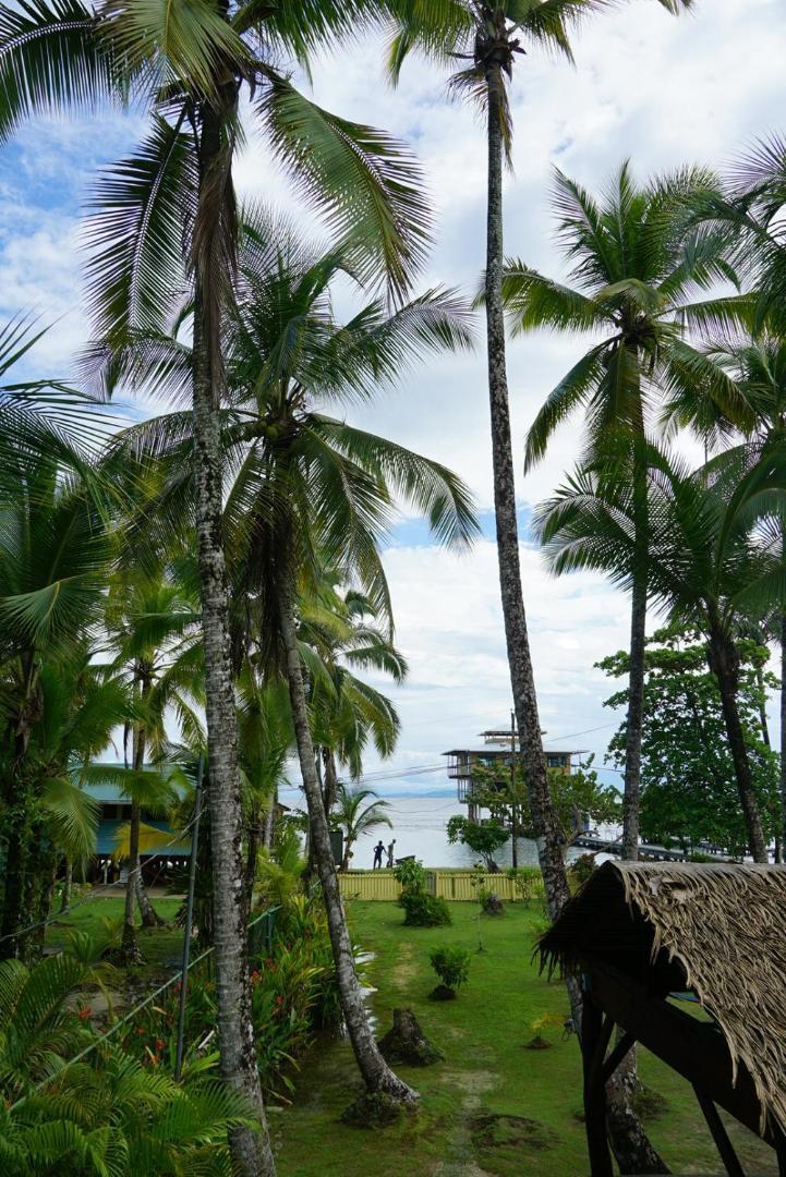 Hotel Tierra Verde Bed And Breakfast Bocas del Toro Exteriér fotografie
