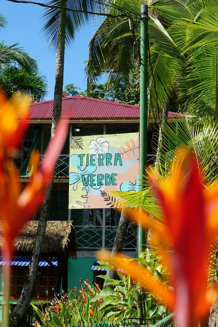 Hotel Tierra Verde Bed And Breakfast Bocas del Toro Exteriér fotografie